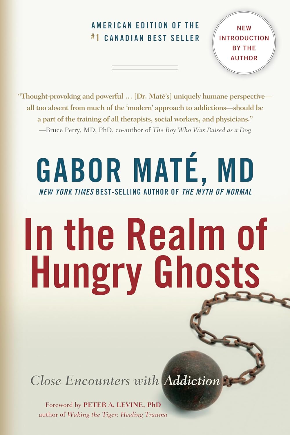 In the Realm of Hungry Ghosts Book Recommended By Briana Lefman at Hamsa Healing Space - Book